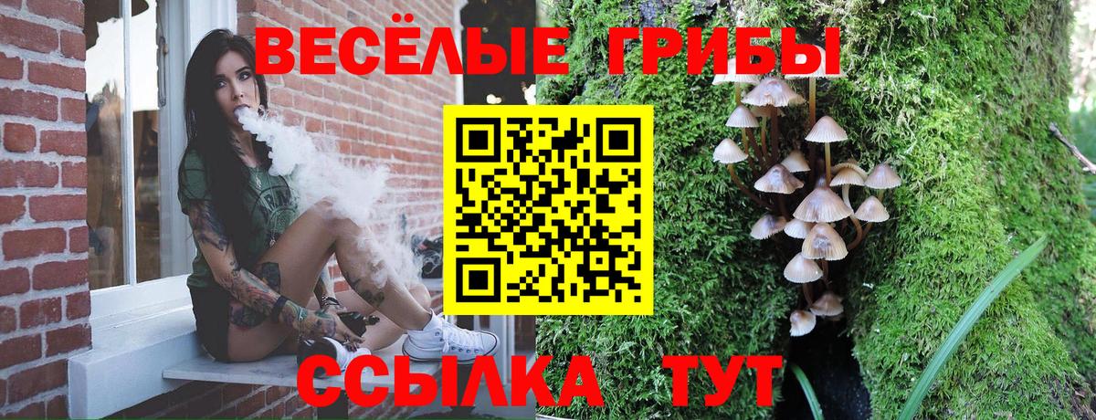 Урюпинск  Галлюциногенные грибы мицелий  Вход с VPN 