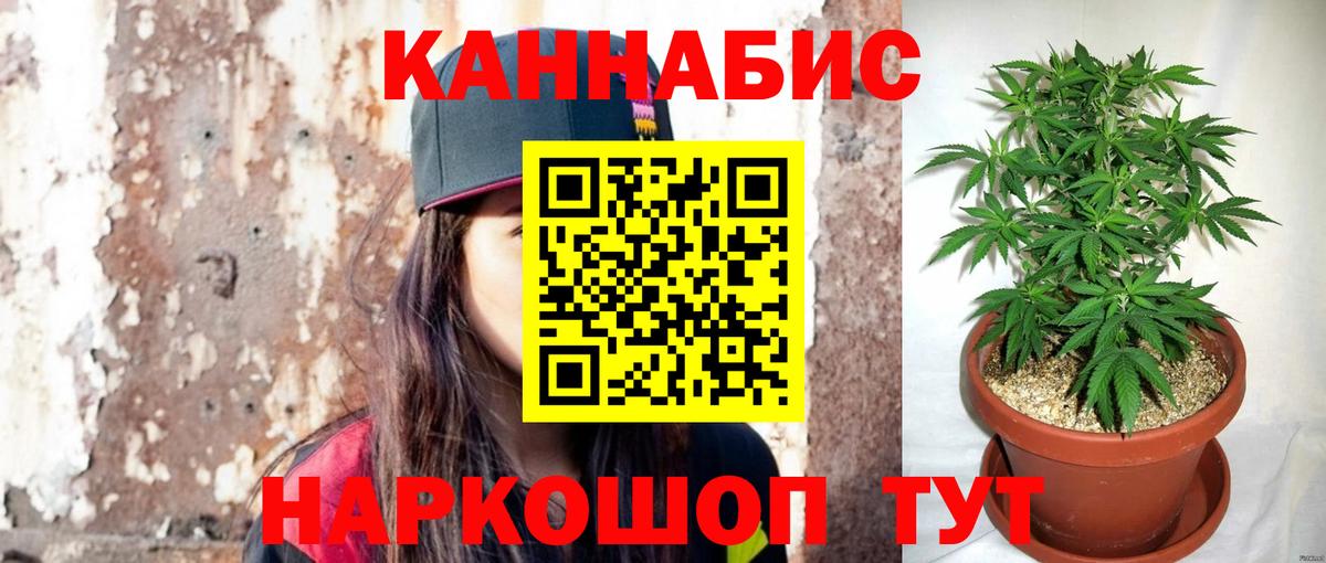 Урюпинск  Бошки марихуана Bruce Banner  Конопля гибрид  Каннабис семена  Вход с VPN 